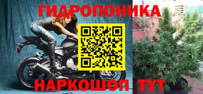 дмт Сланцы