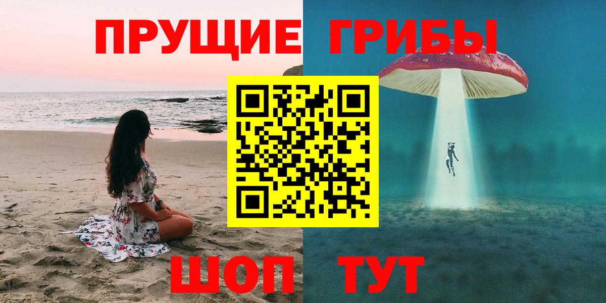 Галлюциногенные грибы Psilocybe  Вход с VPN  Нурлат  Галлюциногенные грибы мухоморы 